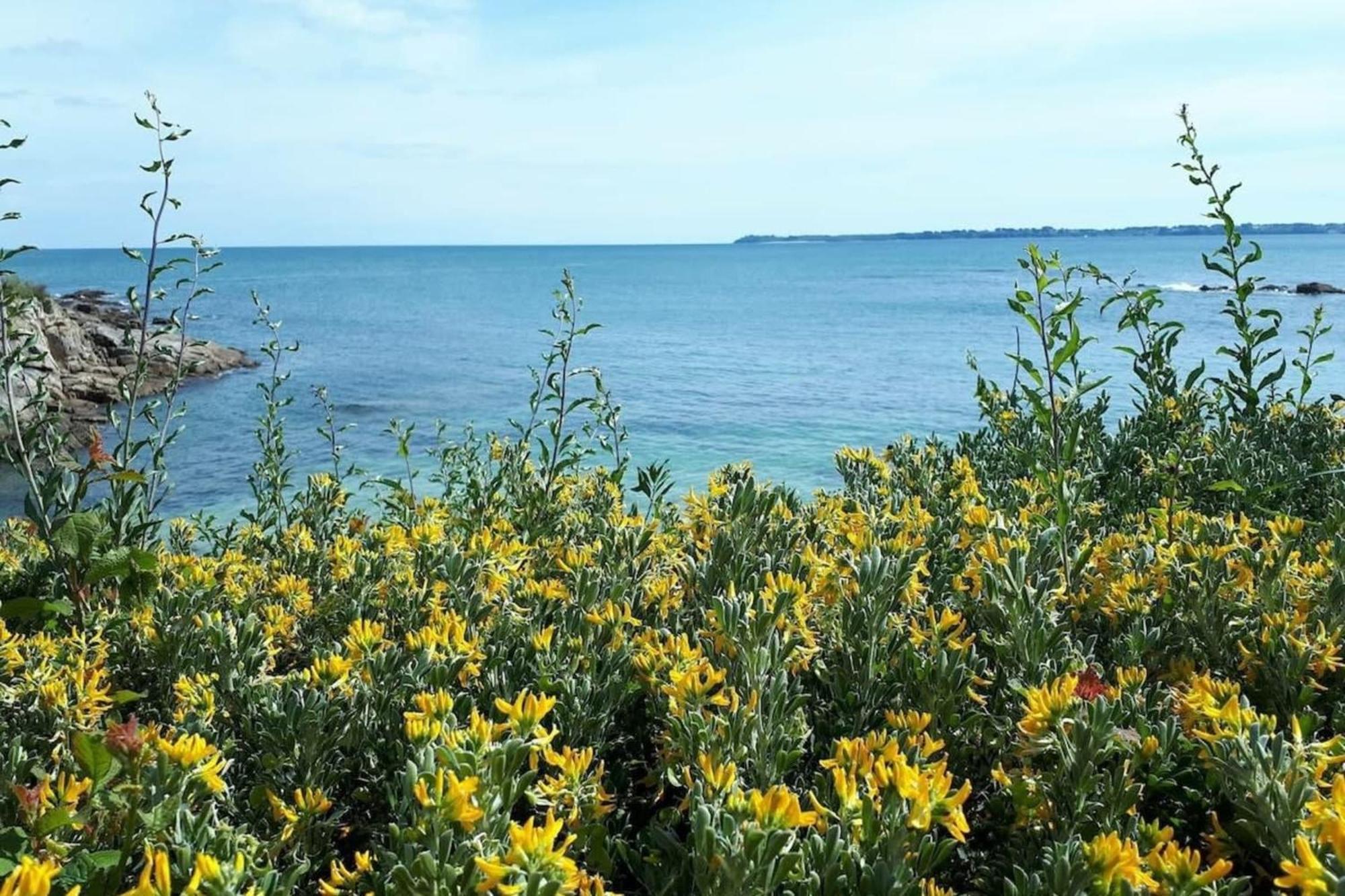 Spacieux Appartement Neuf De Standing Hyper Cosy Larmor-Plage Exteriör bild
